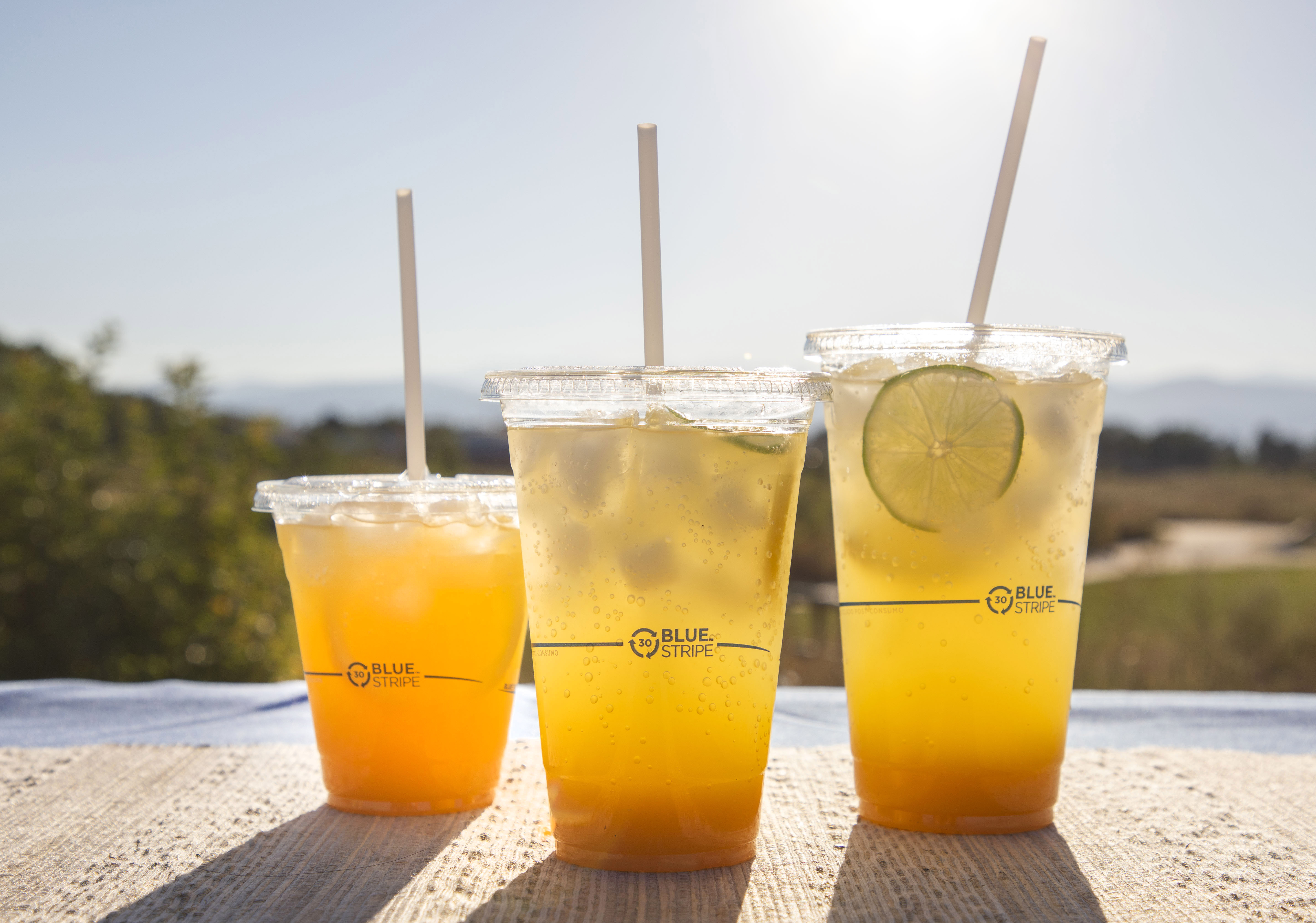 Bluestripe Cold Cups